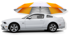 If you feel you need an umbrella for your car or truck or in the case your Ford Mustang to drive it in the rain, diagnosing and repairing water leaks is another of one of the many services we offer here at Phoenix Glass.
